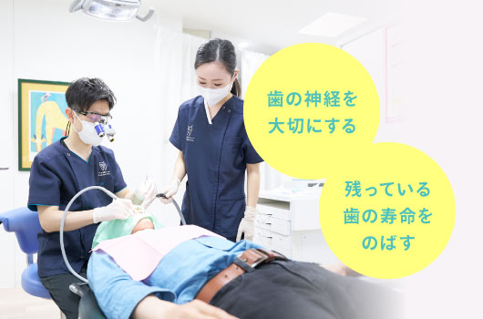 歯の神経を大切にする・残っている歯の寿命をのばす