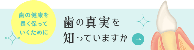 歯の真実を知っていますか？歯の健康を長く保っていくために